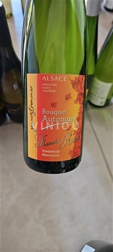 Alsace Flavien Nowack Bouquet Automnal 2021