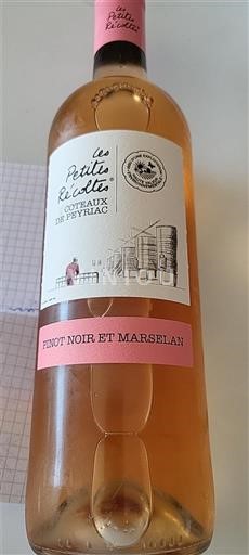 Linguadoca e Rossiglione Coteaux di Peyriac Coteaux de Peyriac Les Petits Ricochets Senza annata