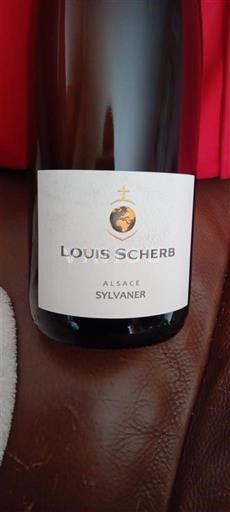Alsace Louis Scherb Sylvaner 2024