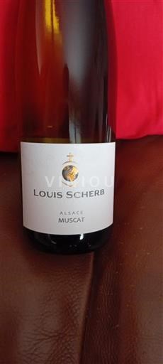 Alsace Muscat Louis Scherb 2023