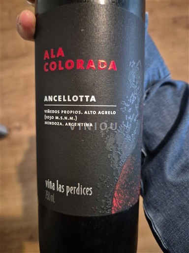 Mendoza Viña Las Perdices Ala Colorada Ancellotta 2020