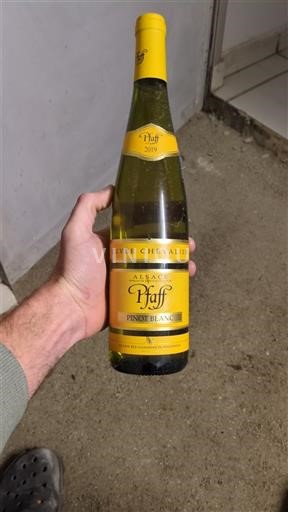 Alsace Pfaff Chevalier 2019
