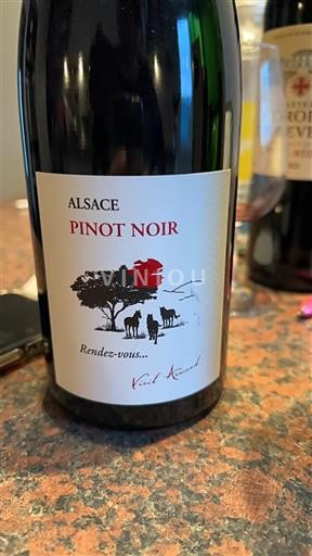 Vin Rouge sec Rendez-vous... Vidal Renaud 2023 França Alsácia Vin de France