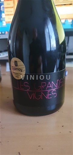 Thung lũng sông Loire Anjou Domaine Des Galloïres Les Grands Vignes 2022