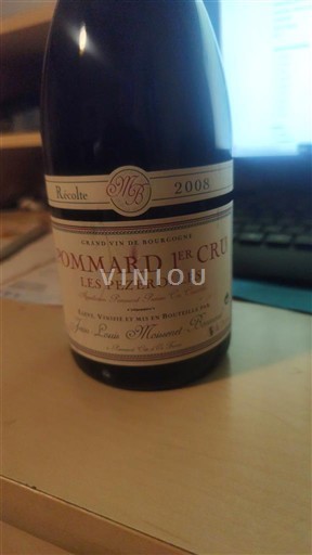 Bourgogne Ikke specificeret Premier Cru Jean-Louis Missery Les Pézerolles 2008