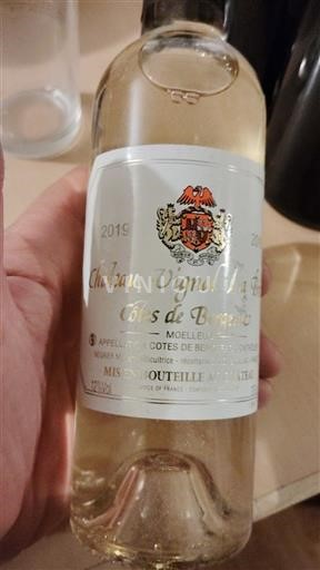 Burdeos Côtes-de-Bordeaux Château Vignol 2019