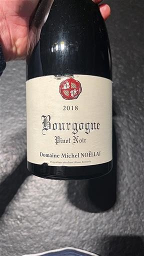 Burgundsko Domaine Michel Noëllat Pinot Noir 2018