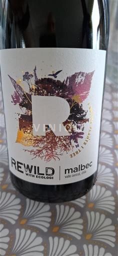 Maipo-Tal Maipo Central Rewild 2022