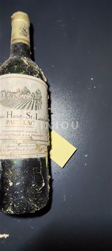 Bordeaux Pauillac Château Haut-Saint-Lambert 1985
