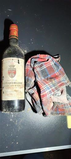 Burdeos Côtes de Blaye Sainte-Luce Bellevue 1996