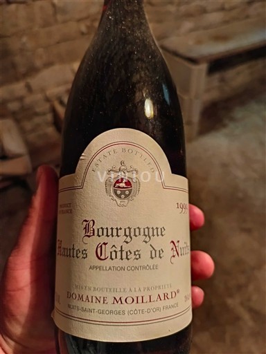 Borgogna Non specificato Domaine Moillard 1998