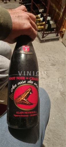 Savoie et Bugey Abymes Alain Neyroud Au coin des sous-bois 1994