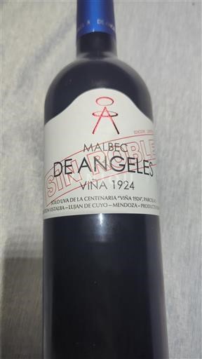 Mendoza Non specificato Angeles Viña 1924 2017