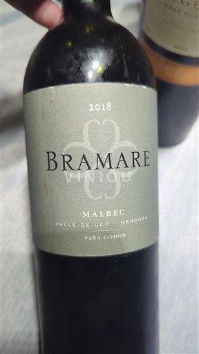 Mendoza Valle de Uco Viña Cobos Bramare 2018