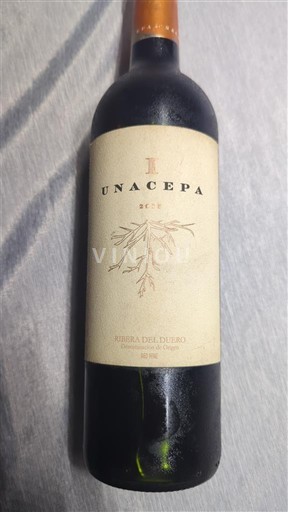 Castilien og León Ribera del Duero Unacepa 2015