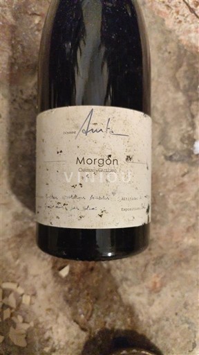Beaujolais Morgon Château Gaillard 2019