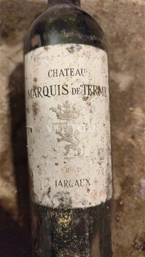 Bordeaux Margaux Grand Cru Château Marquis de Terme Senza annata