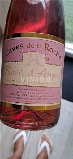 Valle della Loira Rosé d'Anjou Caves de la Roche Senza annata