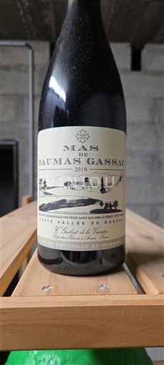 Languedoc-Roussillon Hérault Mas de Daumas Gassac 2019