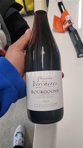 Burgundsko Domaine Des Verchères 2022