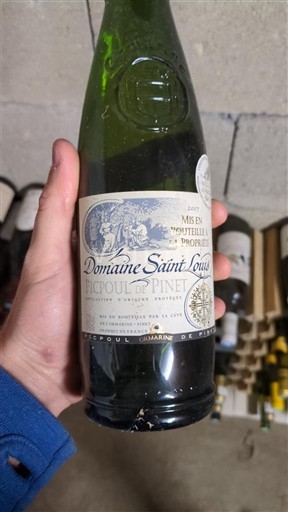 Languedoc Picpoul-de-pinet Domaine Saint Louis 2017