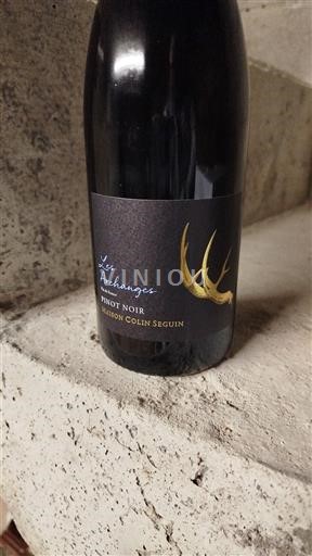 Borgonha Maison Colin Seguin Les Archanges 2024