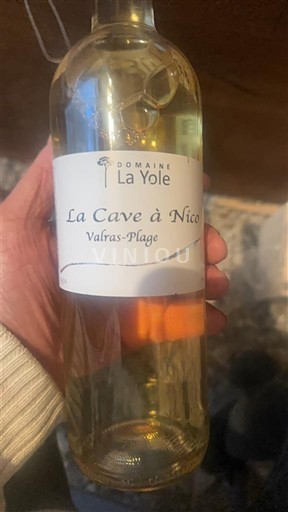 Linguadoca e Rossiglione Côtes de Thongue Domaine La Yole La Cave à Nico Senza annata