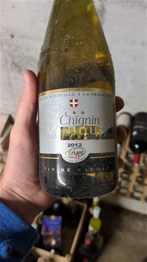 Savoie et Bugey Chignin Cruet 2012