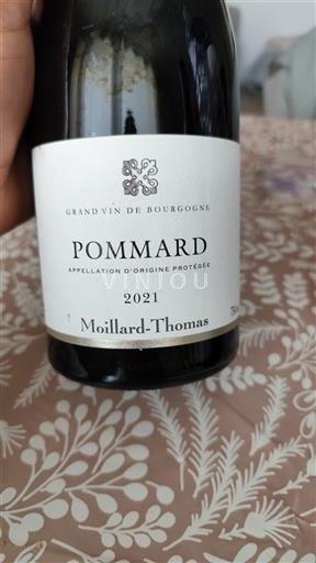 Burgundija Pommard Moillard Thomas 2021