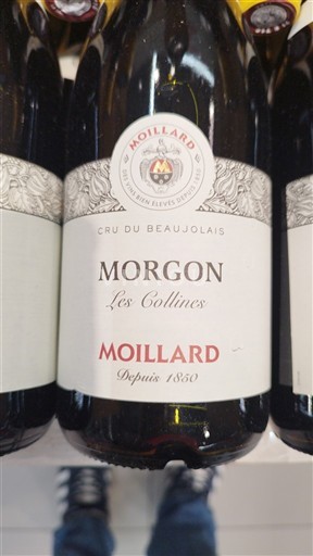 Beaujolais Morgon Moillard Les Collines 2024