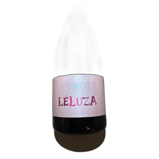 Provence, Lower Rhône Valley, Corsica Vaucluse Clos de Garaud Léluza 2022