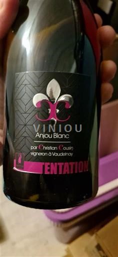 Elzas Niet gespecificeerd Christian Cousin Tentation Niet-geïntegreerd