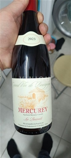Borgoña Mercurey Cave de Producteurs de Mercurey Les Buissonnets 2023
