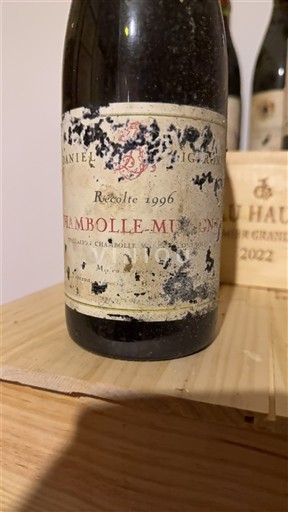 Burgundija Chambolle-Musigny Daniel Ligeron 1996