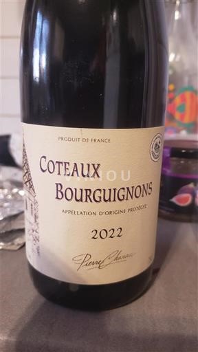Burgundy Coteaux Bourguignons Pierre Chanau 2022
