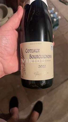 Bourgogne Coteaux bourguignons Pierre Chanau 2022