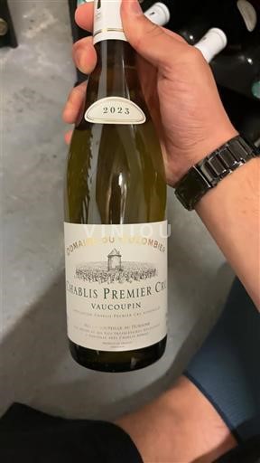 Burgundi Chablis Premier Cru Domaine Colombier Vaucopins 2023
