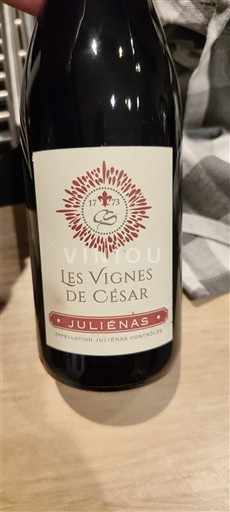 Beaujolais Juliénas Les Vignes de César 2016