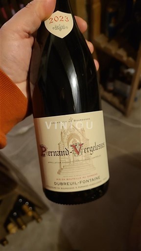Bourgogne Pernand-vergelesses Dubreuil-Fontaine 2023