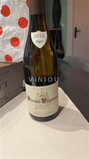 Burgundi Pernand-vergelesses Dubreuil-Fontaine 2023
