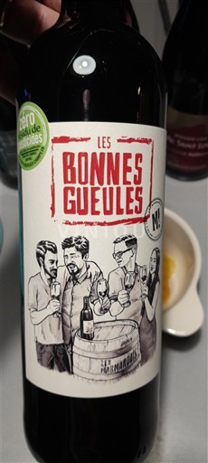 Sudoeste Côtes del Marmandés Les marmandais Les Bonnes Gueules 2022