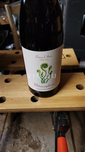 Dolina Loare Touraine Pierres Aurèl Métamorphisme 2022