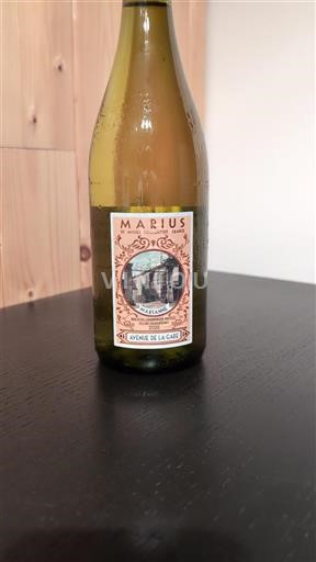 Alpe in reke Rona Ronski grici Marius by Michel Chapoutier Avenue de la Gare 2020