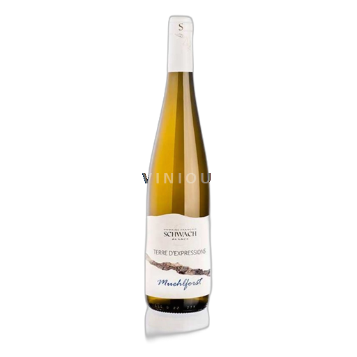 Alsace Domaine Francois Schwach Schwach François Gewurtztraminer Muelhforst 2009