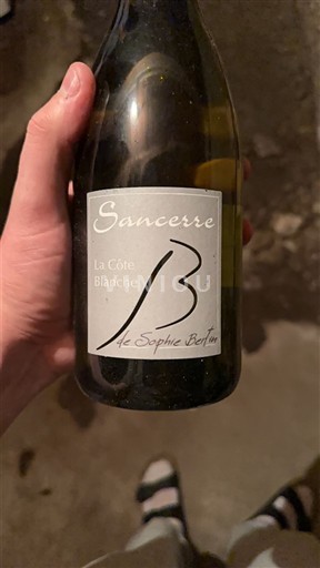 Thung lũng sông Loire Sancerre. Sophie Bertin La Côte Blanche 2023