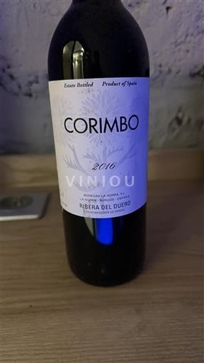 Castile and León Ribera del Duero Bodegas La Horra Corimbo 2016