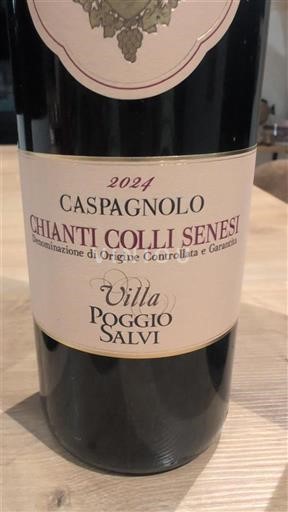 Toscana Ikke specificeret Villa Poggio Salvi Caspagnolo 2024