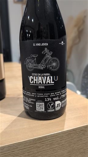 Valencia-regionen Utiel-Requena Chaval Ikke årgangsbestemt