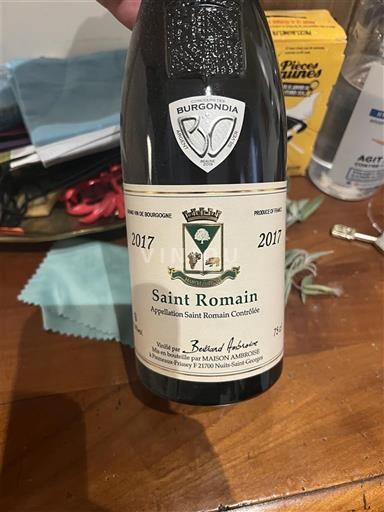 Bourgondië Saint-Romain Bertrand Ambroise 2017