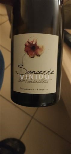 Valle della Loira Sancerre Guillerault-Fargette Les Panseillots Senza annata